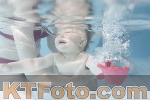 Foto 4231437