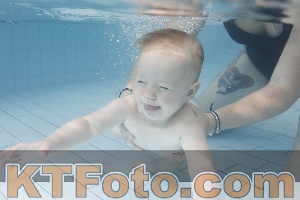 Foto 4231439