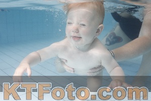 Foto 4231440