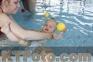 Photo 4231449