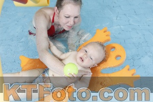 Photo 4231463