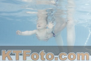 Foto 4231469