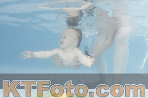 Foto 4231470