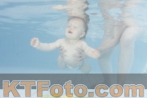 Foto 4231471