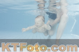 Foto 4231472