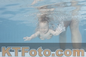 Foto 4231477