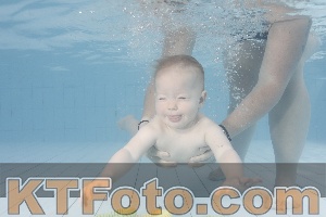 Foto 4231479