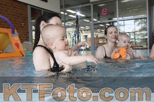 Photo 4231490