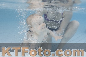 Foto 4231503