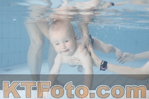 Foto 4231514