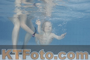 Photo 4231566