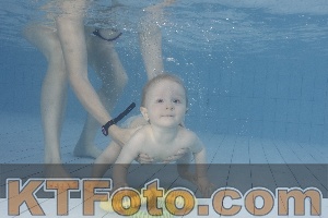 Photo 4231568
