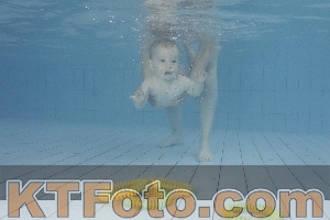 Photo 4231570