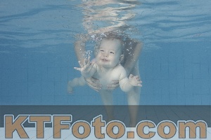Photo 4231571