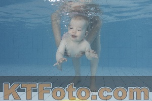 Photo 4231572