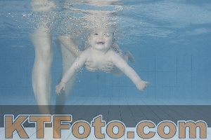 Foto 4231574