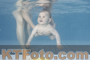 Foto 4231576