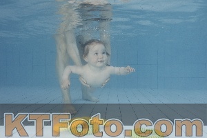 Foto 4231579
