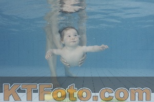Foto 4231580