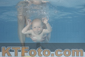 Foto 4231582