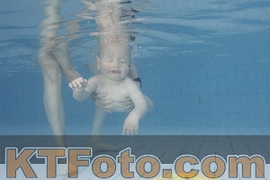 Foto 4231584
