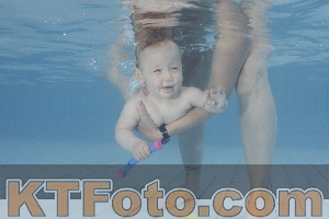 Photo 4231698