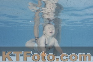 Photo 4231699