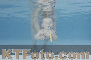 Photo 4231700