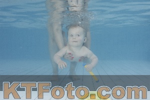 Photo 4231701