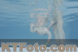 Photo 4231705