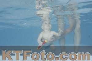 Photo 4231708