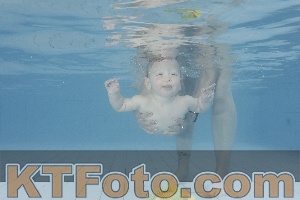 Photo 4231709