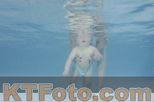 Photo 4231710