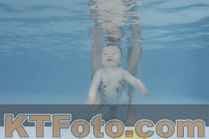 Photo 4231711