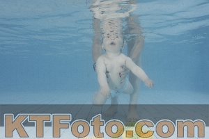 Photo 4231712