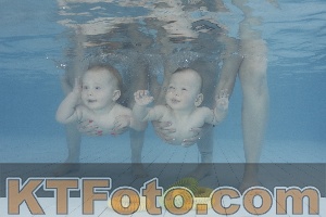 Foto 4231727