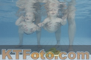 Foto 4231728