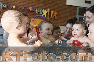 Photo 4231743