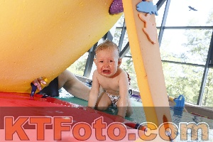 Foto 4231805