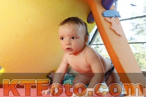 Foto 4231810