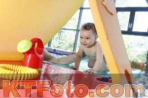 Foto 4231814