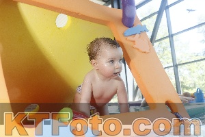 Foto 4231817