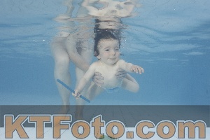 Foto 4231819