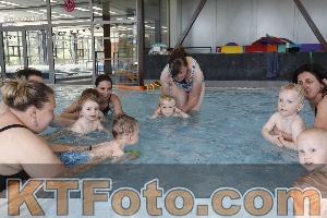 Photo 4231868