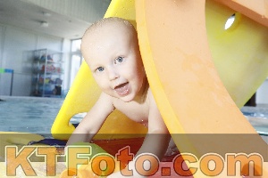 Foto 4231935
