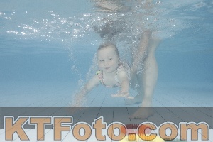 Foto 4231951