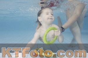 Photo 4231956