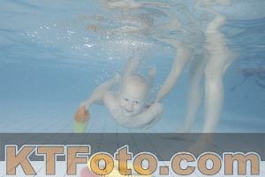 Photo 4231957
