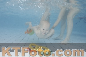 Photo 4231958