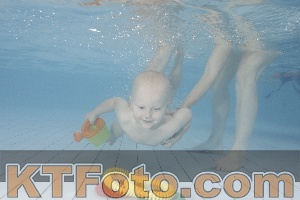 Photo 4231959